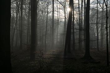 Playing with light - Kostenloses image #414565